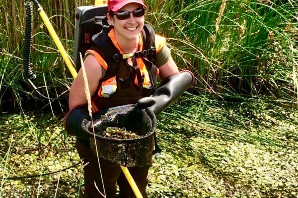 Ottawa-Electrofishing