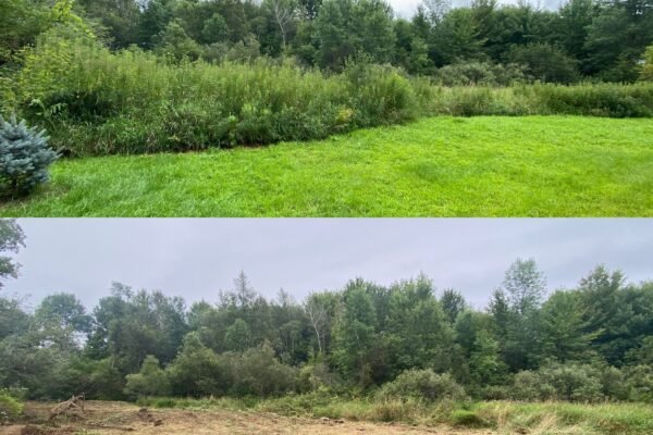 Brush-Clearing-Spencerville
