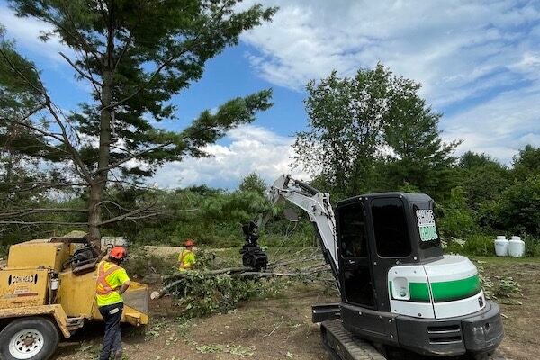 Clearing-land-in-Carleton-Place-1