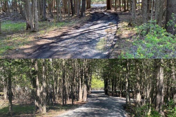 Dunrobin-Gravel-Driveway-repair-1024x1024