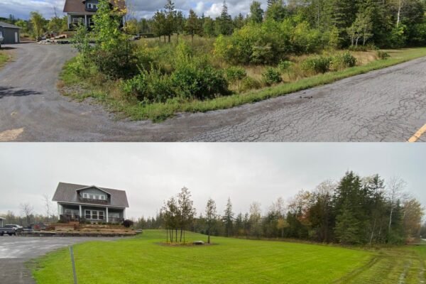 Land Clearing_E775A1DF-031F-4F24-80D3-962C239F4147
