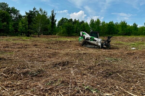 Land Clearing_Forestry Mulching