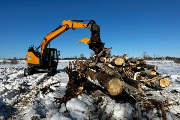Land Clearing_IMG_0204