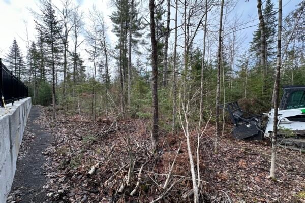 Land Clearing_IMG_1555