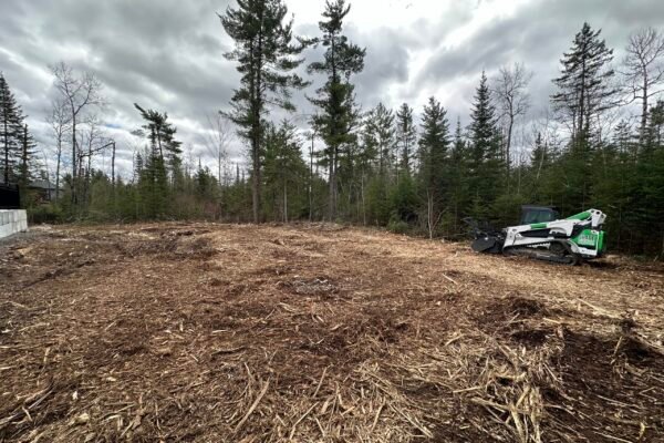 Land Clearing_IMG_1557
