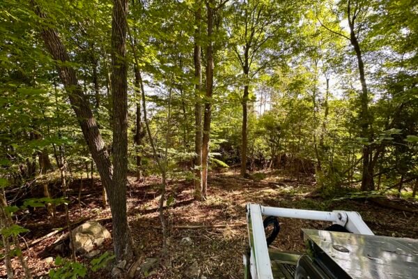 Land Clearing_IMG_2114